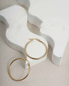 Timeless Gold Toned Hoops